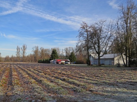 Matlock Farm-12-3-14