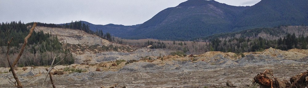 Photo of landslide in Oso, WA.