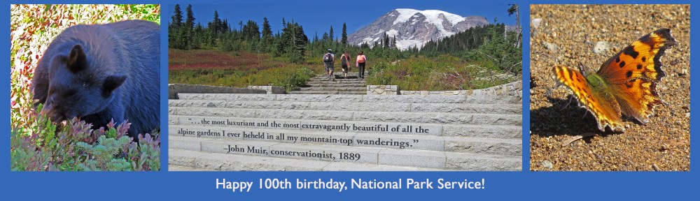 Photo of wildlife and Mount Rainier National Park