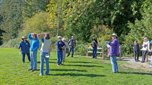 Photo of walking tour at Sehmel Homestead Park