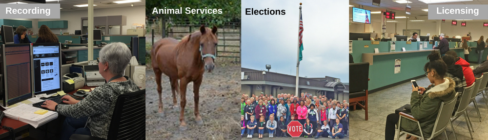 Photos of the Auditor's Office
