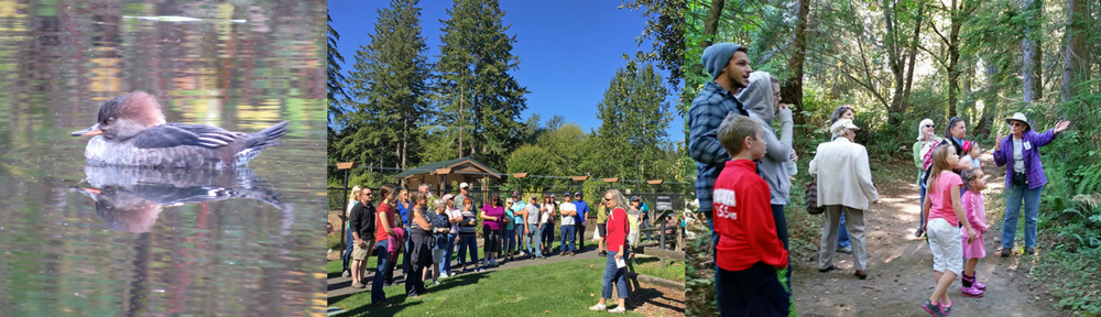 Pictures of Sehmel Homestead Park